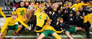 Miljonärens plan för Dalkurd: Gå upp i allsvenskan direkt