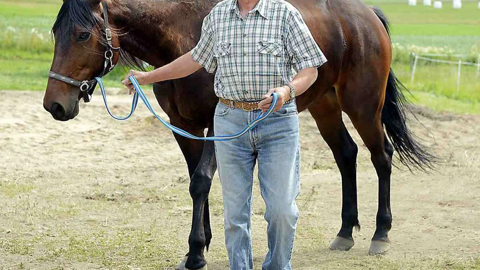 Tehachapi, ägd av Torbjörn Ögren, tog hem segern i V64-avslutningen på Umåker. Arkivbild: Leif Andersson