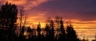 Gunborg Haapasaaris bild från Niskanpää