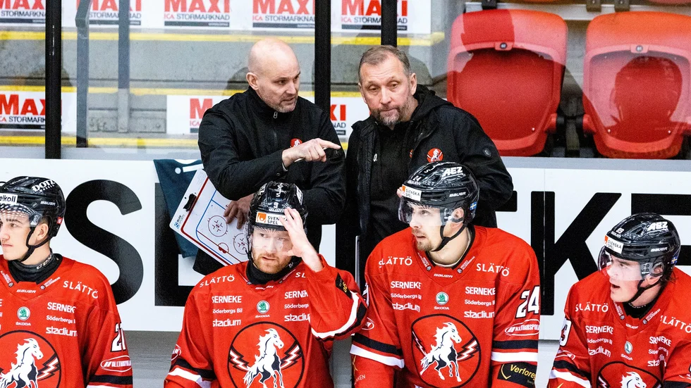 Tony Zabel ger sin förklaring till succén för Hästens nye målkung.