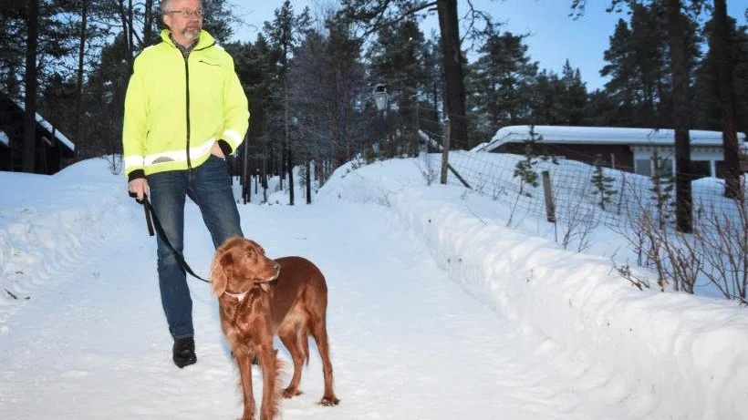 Kiva, en Irländsk settertik Lars Törnmans sällskap på dagarna. "Hon lämnar aldrig min sida" säger förra kommunalrådet Lars Törnman som numera på kommunalrårsbacken i Kurravaara.