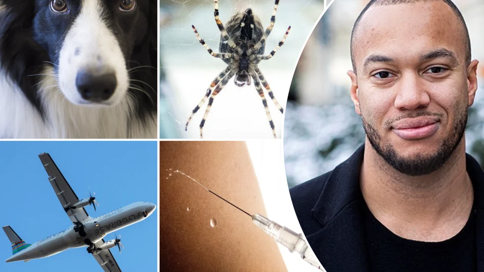 "Det handlar inte om att man inte ska känna någon rädsla alls, utan att det du känner och de åtgärder du vidtar ska stå i proportion till det faktiska hotet. Om det handlar om en huggorm så är det kanske rimligt att du inte går fram och klappar den, men inte att du vägrar sätta en fot i skogen", säger psykologen och psykoteraupten Jonas Evander.