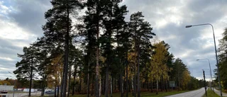 Bristen är väl känd för kommunen