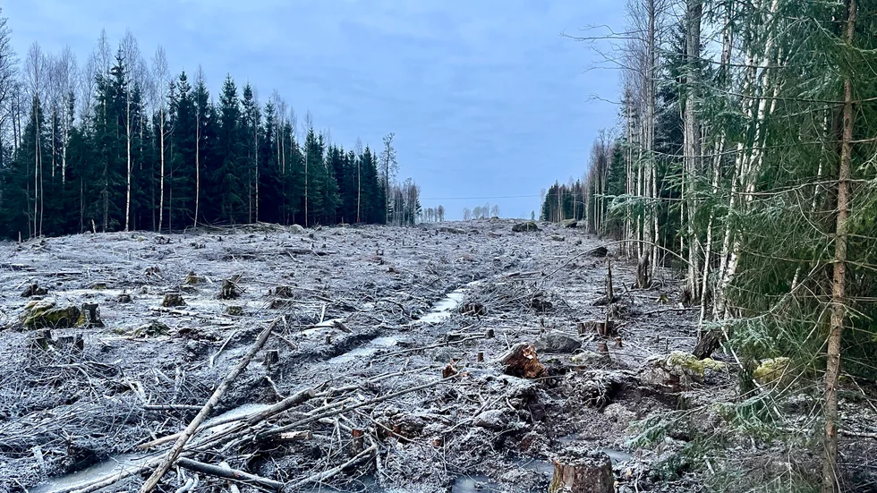 Här på Viksberget ska nya riksväg 56 gå. 