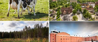 2021 blev hett – med en iskall avslutning