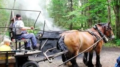 Besökare kom med häst och vagn för att se den rykande kolmilan inne i skogen.