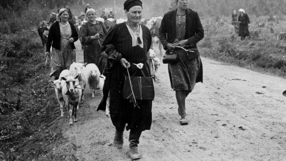 Karelare på flykt. Den här bilden är från 1944 då området evakuerades under fortsättningskriget. Även i samband med vinterkrigets utbrott 1939 drabbades befolkningen svårt.