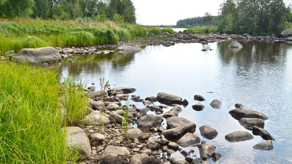 I vanliga fall går det att ta sig fram med båt. "Det känns som att man kommer att kunna marschera omkring o ta upp kräftorna utan både bur och båt", skriver fotografen.