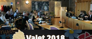 Så vill politikerna jobba för jämställdheten