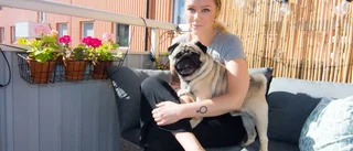 Urban odling är Annas melodi