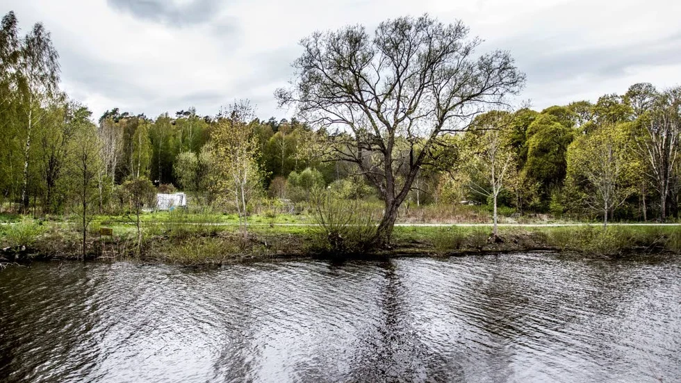 Uppsala är fullt av experter som kunde ha gett politikerna råd om grundvattnet innan marken i Ulleråker köptes, skriver Inger Sjöberg.