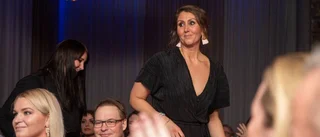 Bildextra: Näringslivet hyllades på gala