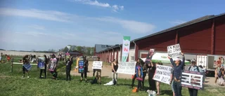 Kosläpp lockade demonstranter