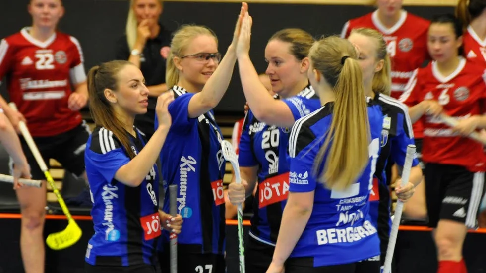 Sirius innebandy visar ekonomiskt plusresultat för säsongen 2017/2018.