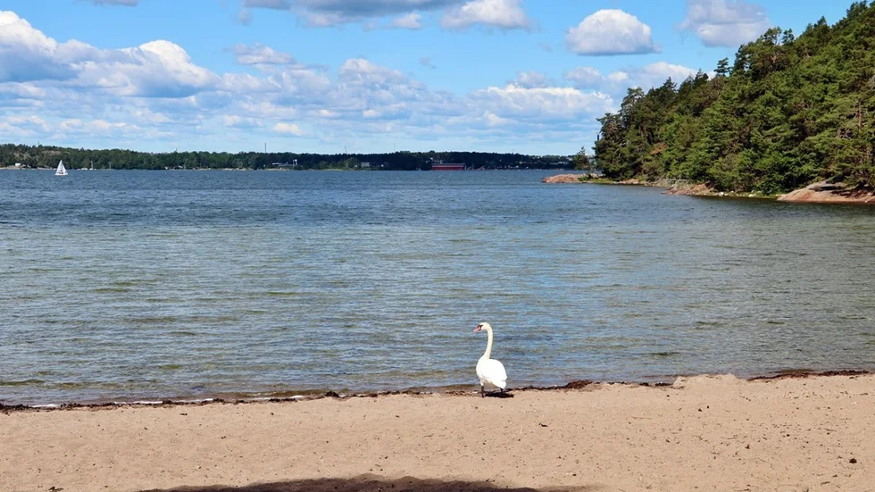 Helgenäs är en relativt varm badplats för närvarande. Motsatsen kan dock sägas om Sandviken på Gränsö, där bilden är tagen. Foto: Liselotte S Johansson