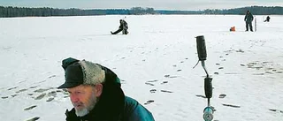 Svårflörtad fisk i Hulingen