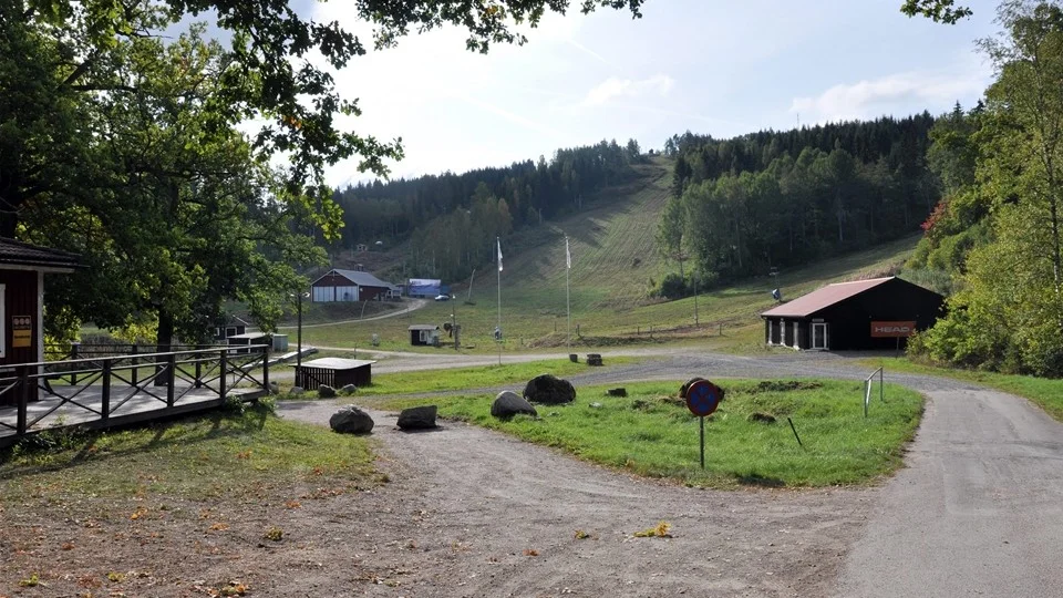 Tolvmannabacken i sommarskrud. Den nya nedfarten kommer att sträcka sig öster om nuvarande pister, till vänster på bilden. Foto: Alf Wesik