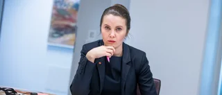 Riksdagens granskande roll blir viktigare men svårare 