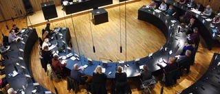 Därför bör partierna i Norrbotten inkludera unga