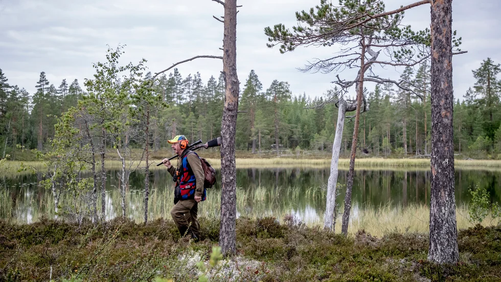 Björnjakten fortsätter fram till 15 oktober.