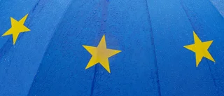 Källor: EU ska granska Ukrainas medlemsansökan