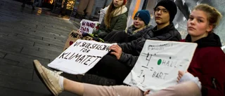 14-åringar skolkade för miljöns skull