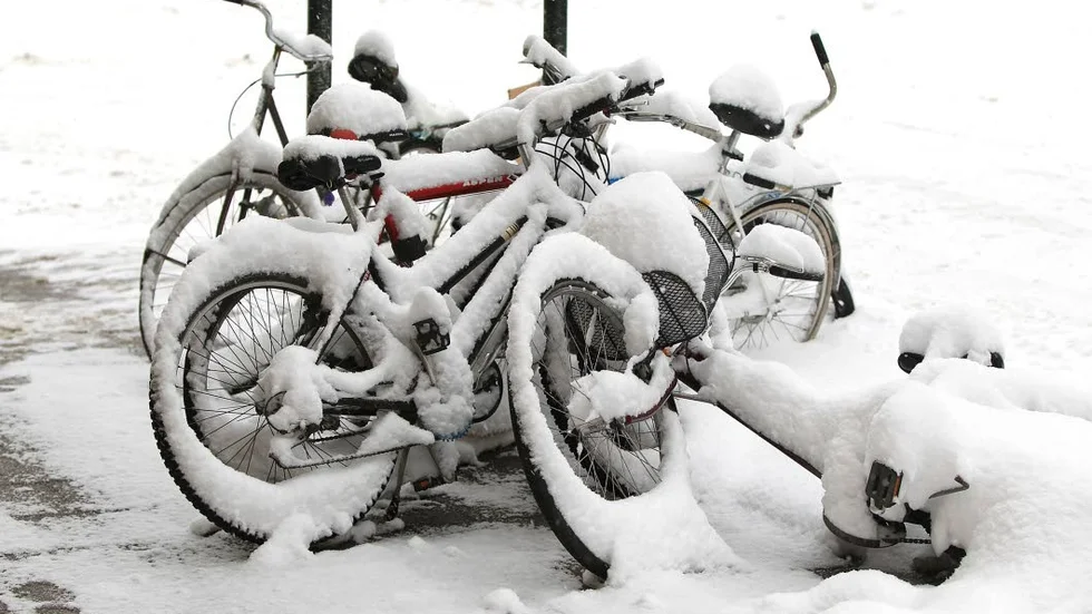 Fram med snöskyffeln! Snöfallet har bara börjat.