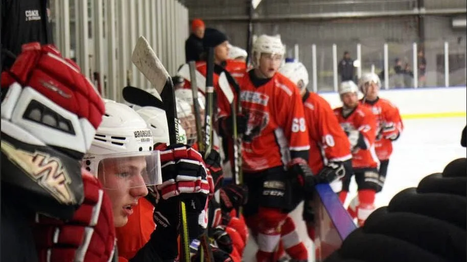 Ishockeyn har fått ett uppsvning sedan stadens lag började om i division IV.