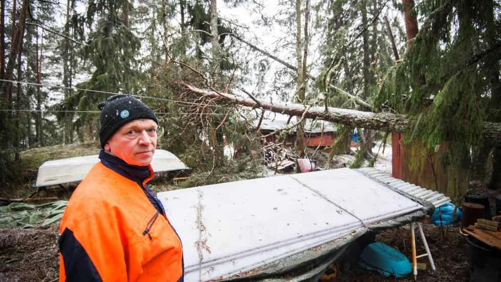 Ett träd som fällts av stormen Alfrida hade sönder elledningen som förser Per Perssons hus med ström.
