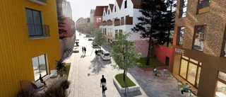 Expansiv detaljplan tappar trädgård