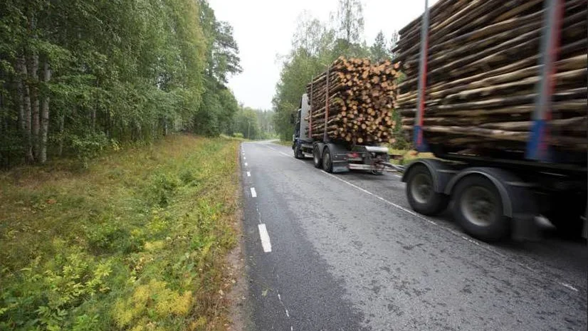 Det var här vid vägrenen sydväst om Niemisel som kvinnan av än så länge oklar anledningen föll ur bilen och dog.