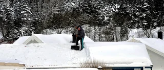 Skotta inte villataket