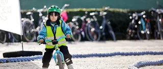 Vuxna kan inte trafikreglerna