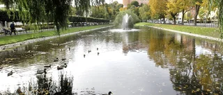 Uppsalabornas minnen från dammen