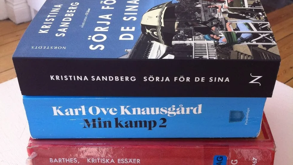 Sommarläsning. Bokhögar görs till status- och identitetsmarkörer i sociala medier, skriver Kristina Lindquist