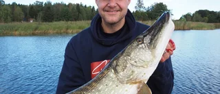 Meterlång gädda drogs upp