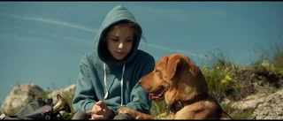 Ett dystopiskt hundliv