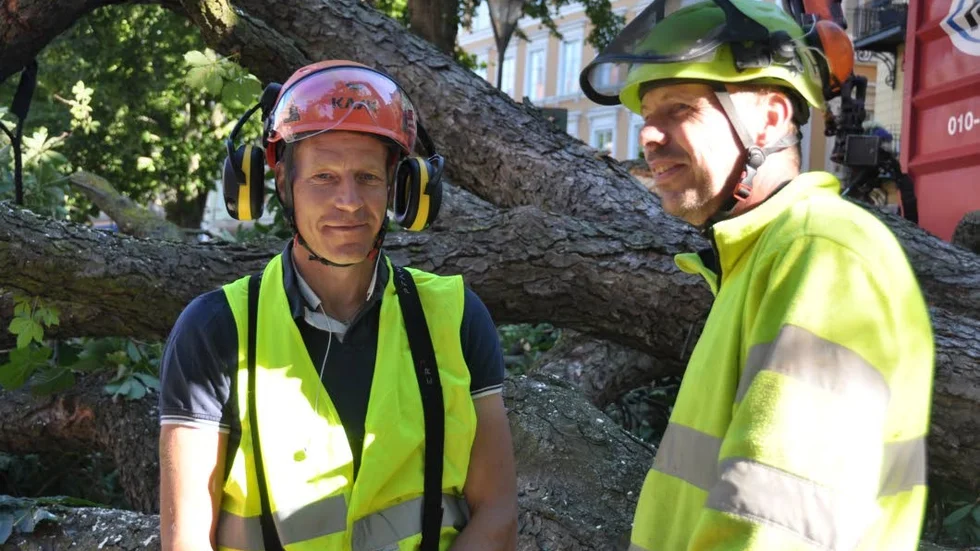 Samarbete. Kommunens Mark Vanderveen (till höger) fick hjälp av trädfällaren Christer Björk för att få bort alla grenar från Östra Ågatan.