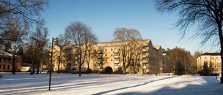 "Hon för dagbok över smällarna"