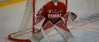 Supersuccé för fem heta hockeytalanger