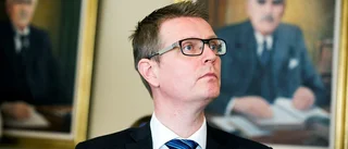 Toppolitikerns dubbla arvoden