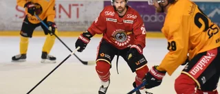 Debut för Luleå Hockeys stjärna – här är hans kedja