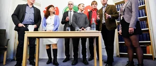 Rödgröna lovar bättre ekonomi och psykvård
