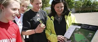 De fick pengar till ny konstgräsplan
