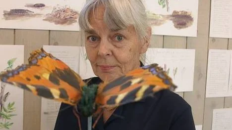 Lena von Strochirh, ÖSterlövsta, ställer ut fjärilsteckningar under På Tur i Hållnäs.