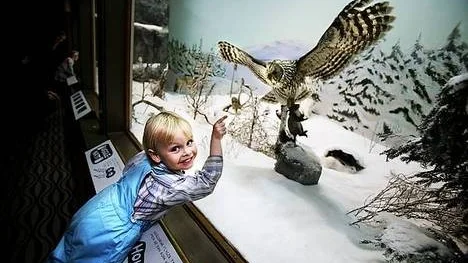 Titta! August Markne, snart 4 år, fascineras av montrarna på Biotopia.