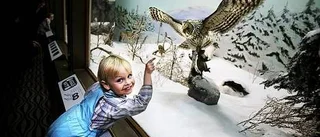 Museum - en barnlek