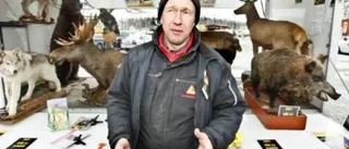 Viltolyckorna ökar