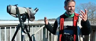 Lärkan drillar trots sen vår