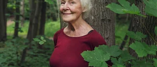 "Lite sjutusan jäklar måste man ha"